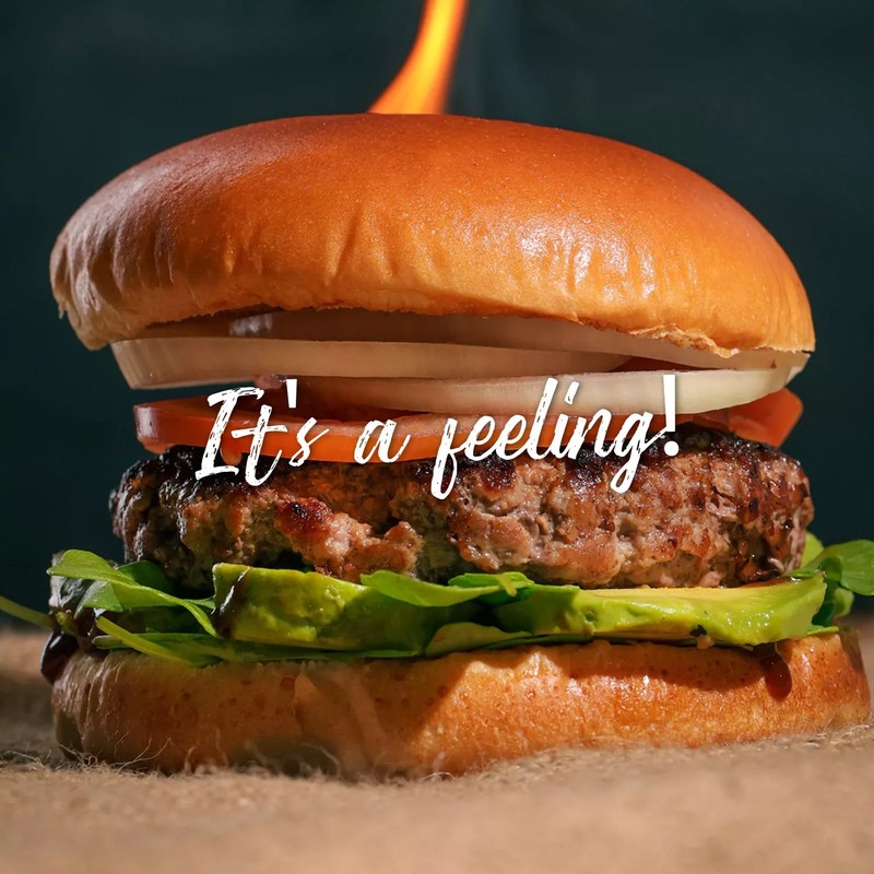 Cover Picture 1 Of Burger lovers