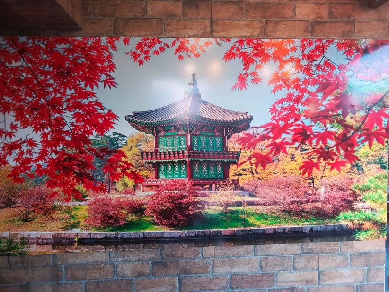 Cover Picture 2 Of Ikura